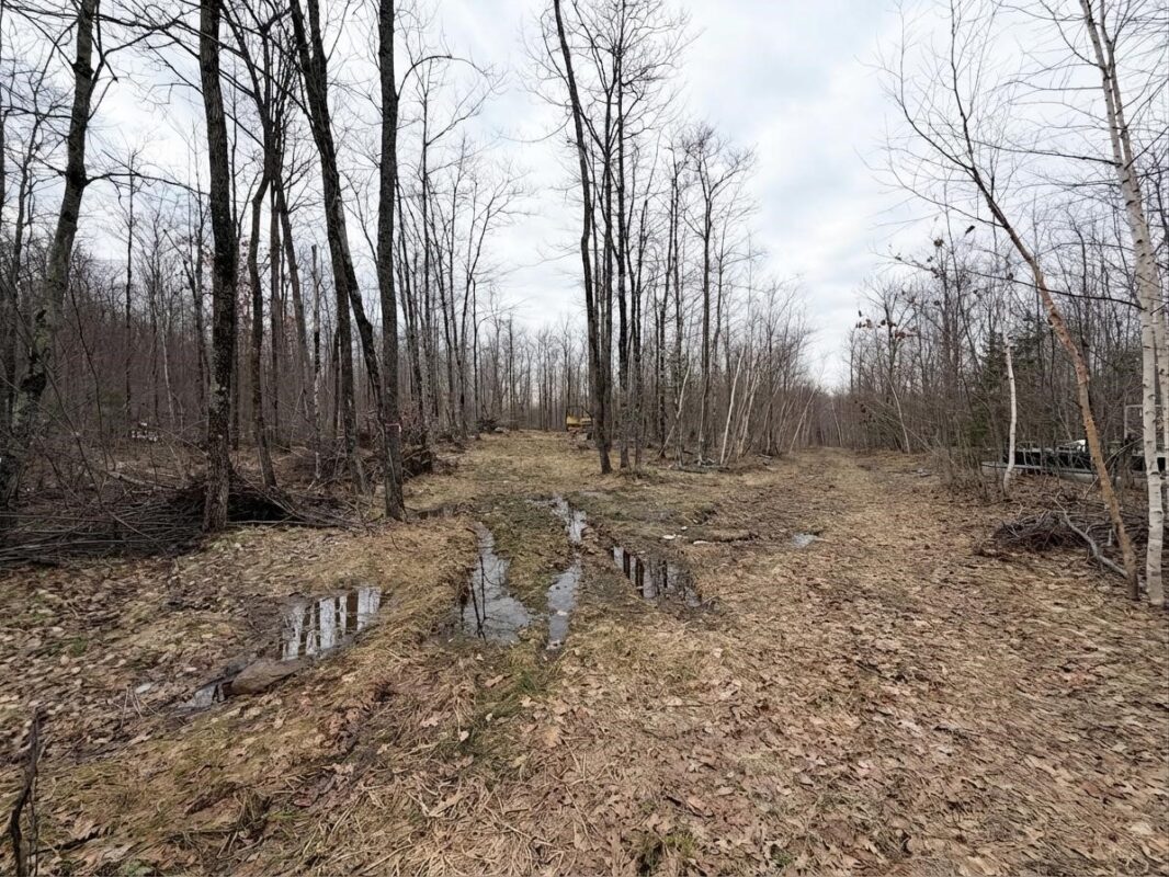 Land at 0 State Highway 48, Birchwood, WI 54817 — photo 4