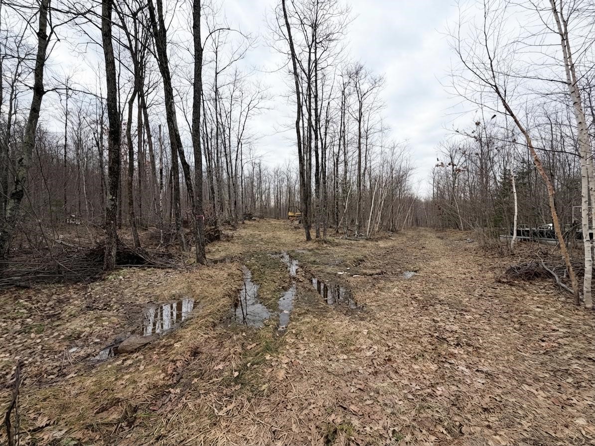 Land at 0 State Highway 48, Birchwood, WI 54817 — photo 4