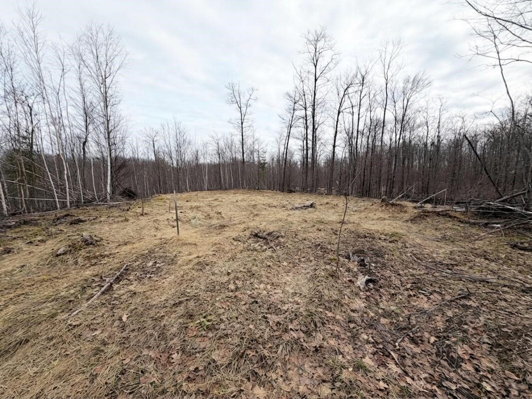 Land at 0 State Highway 48, Birchwood, WI 54817 — photo 5