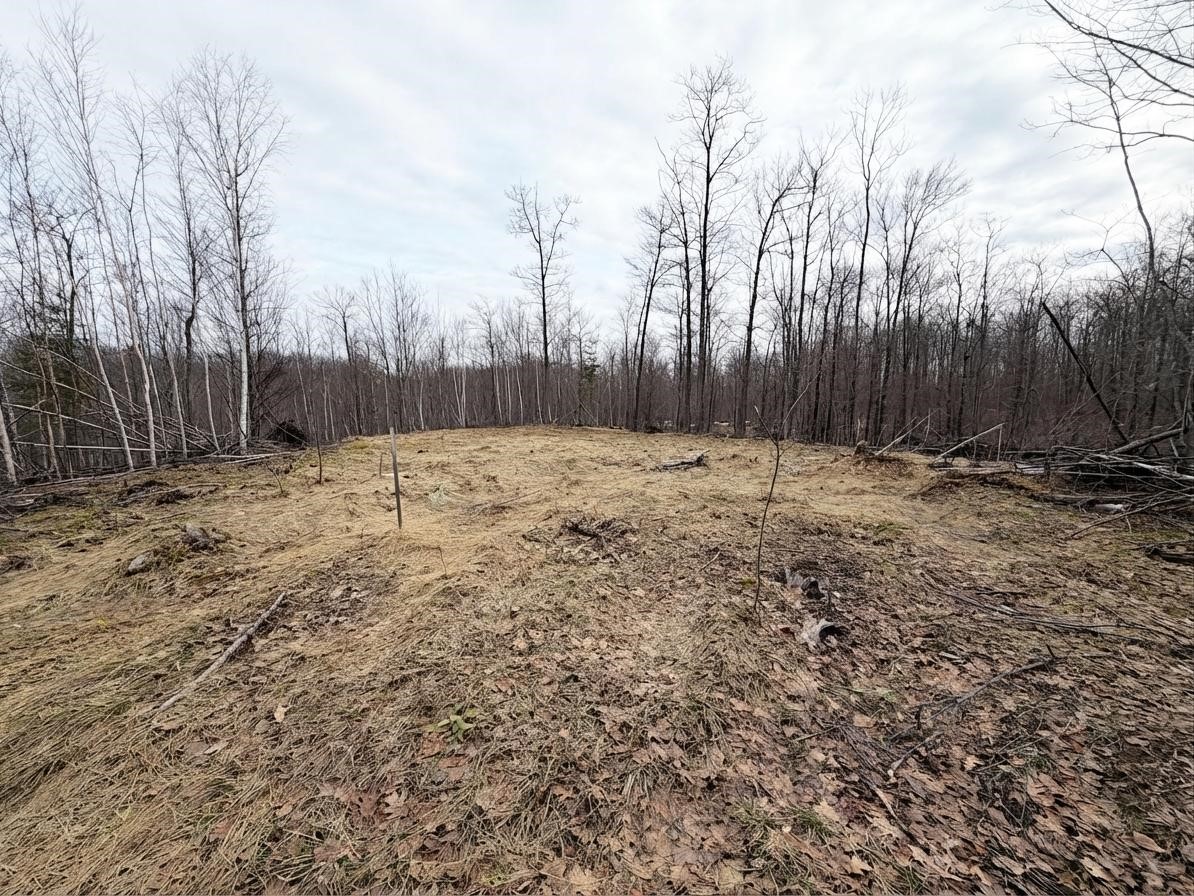 Land at 0 State Highway 48, Birchwood, WI 54817 — photo 5