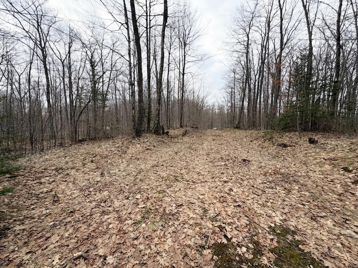 Land at 0 State Highway 48, Birchwood, WI 54817 — photo 6