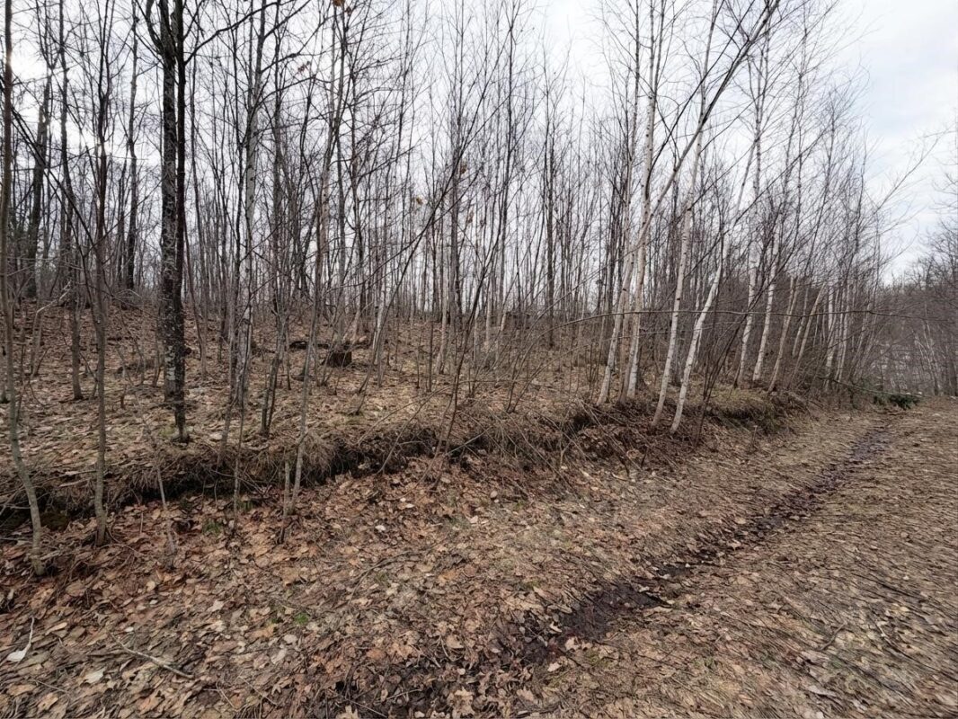 Land at 0 State Highway 48, Birchwood, WI 54817 — photo 7