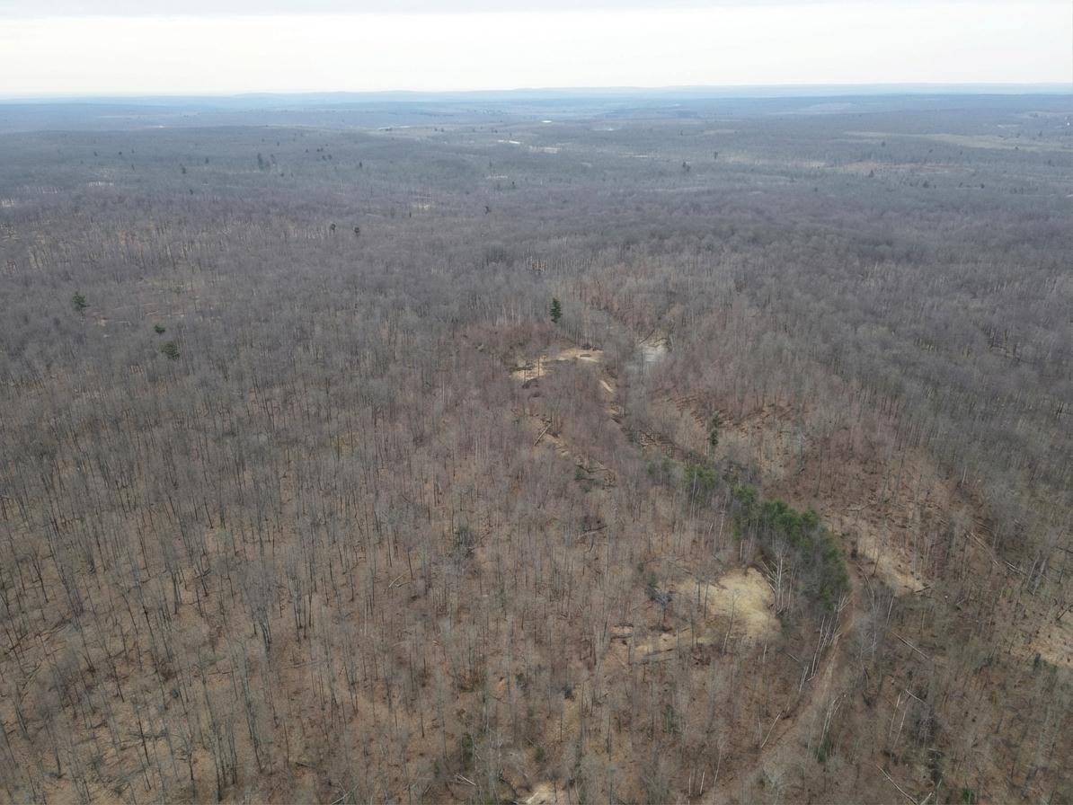 Land at 0 State Highway 48, Birchwood, WI 54817 — photo 8