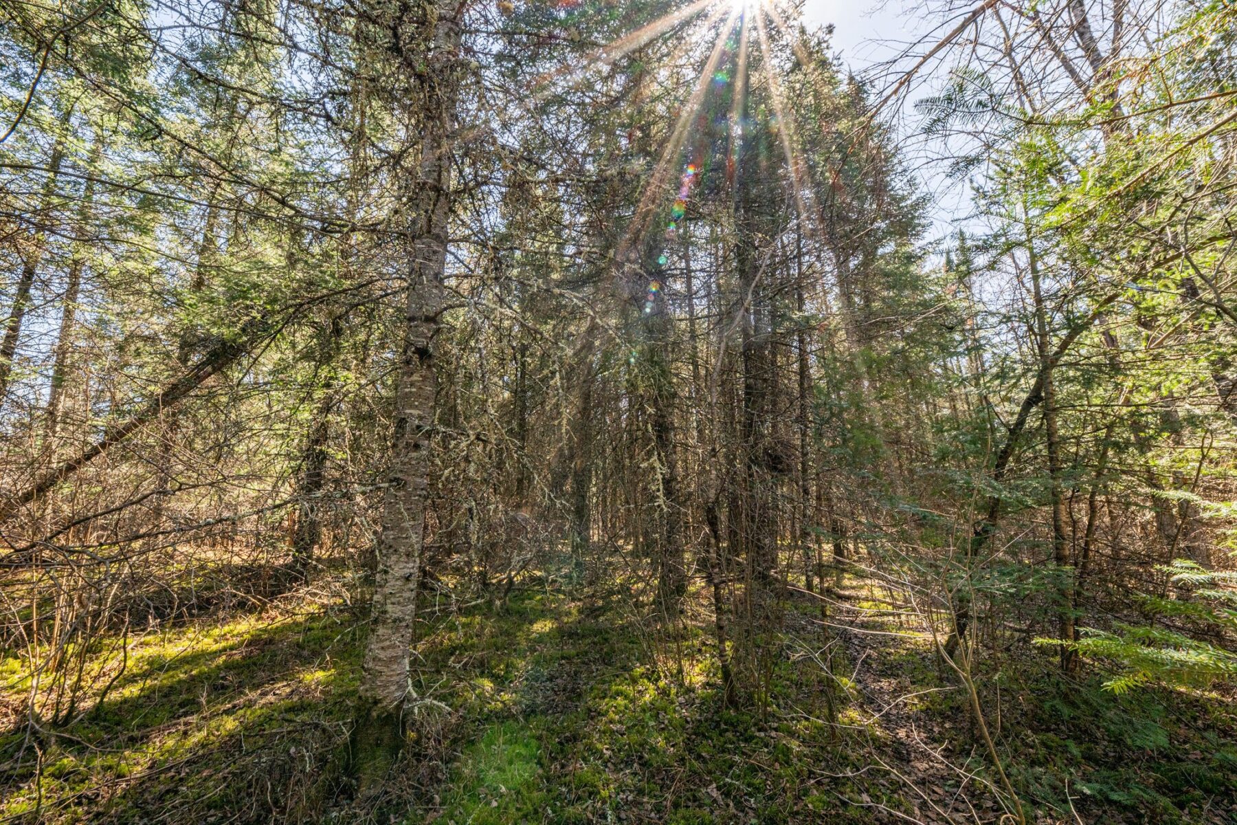 0 Clover Rd S, Winter, WI — photo 10