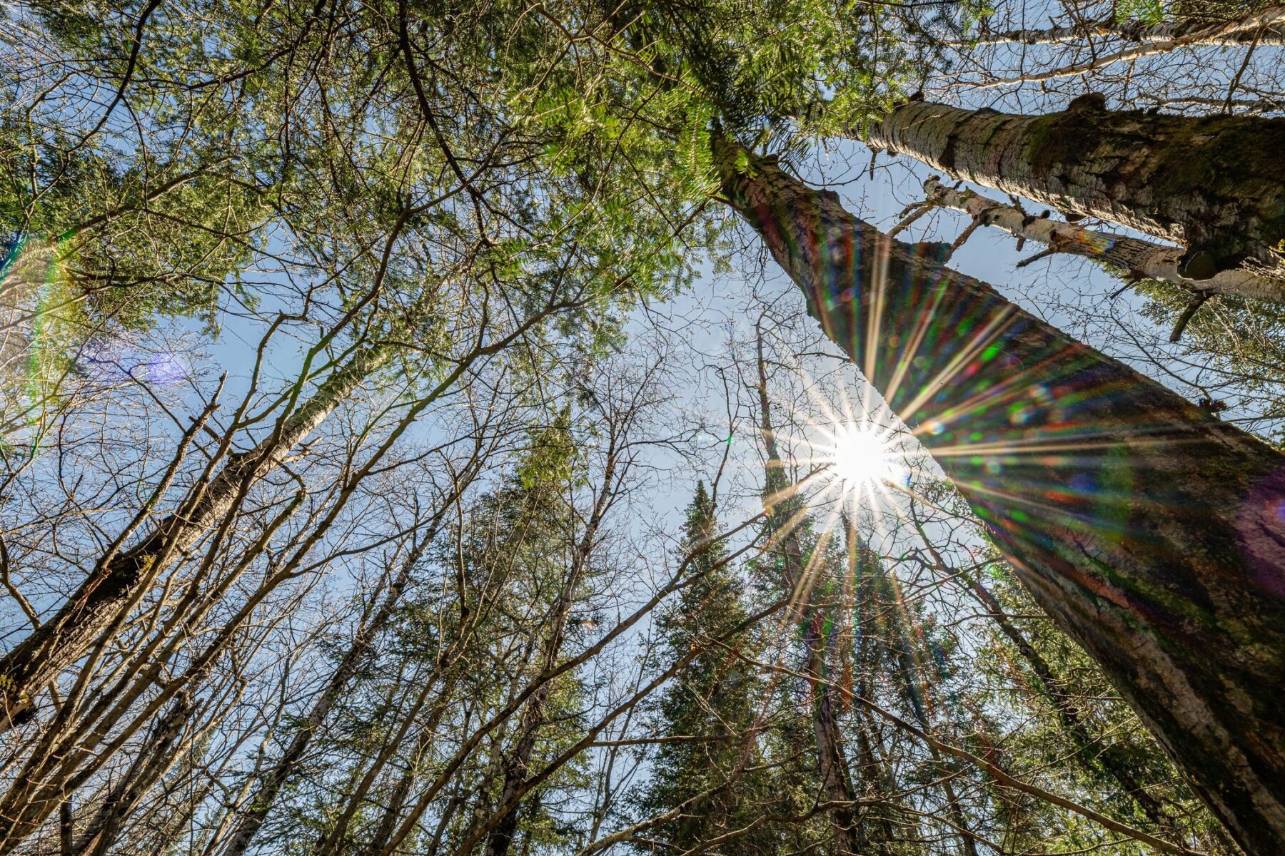 0 Clover Rd S, Winter, WI — photo 2