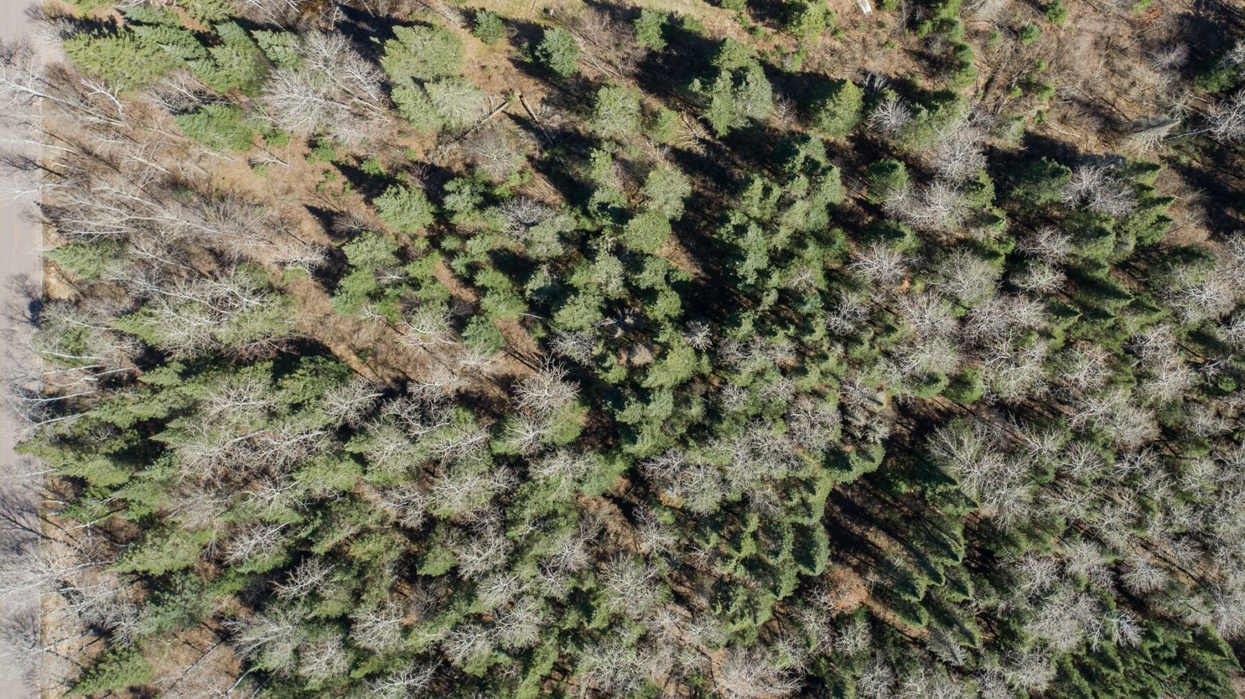 0 Clover Rd S, Winter, WI — photo 5