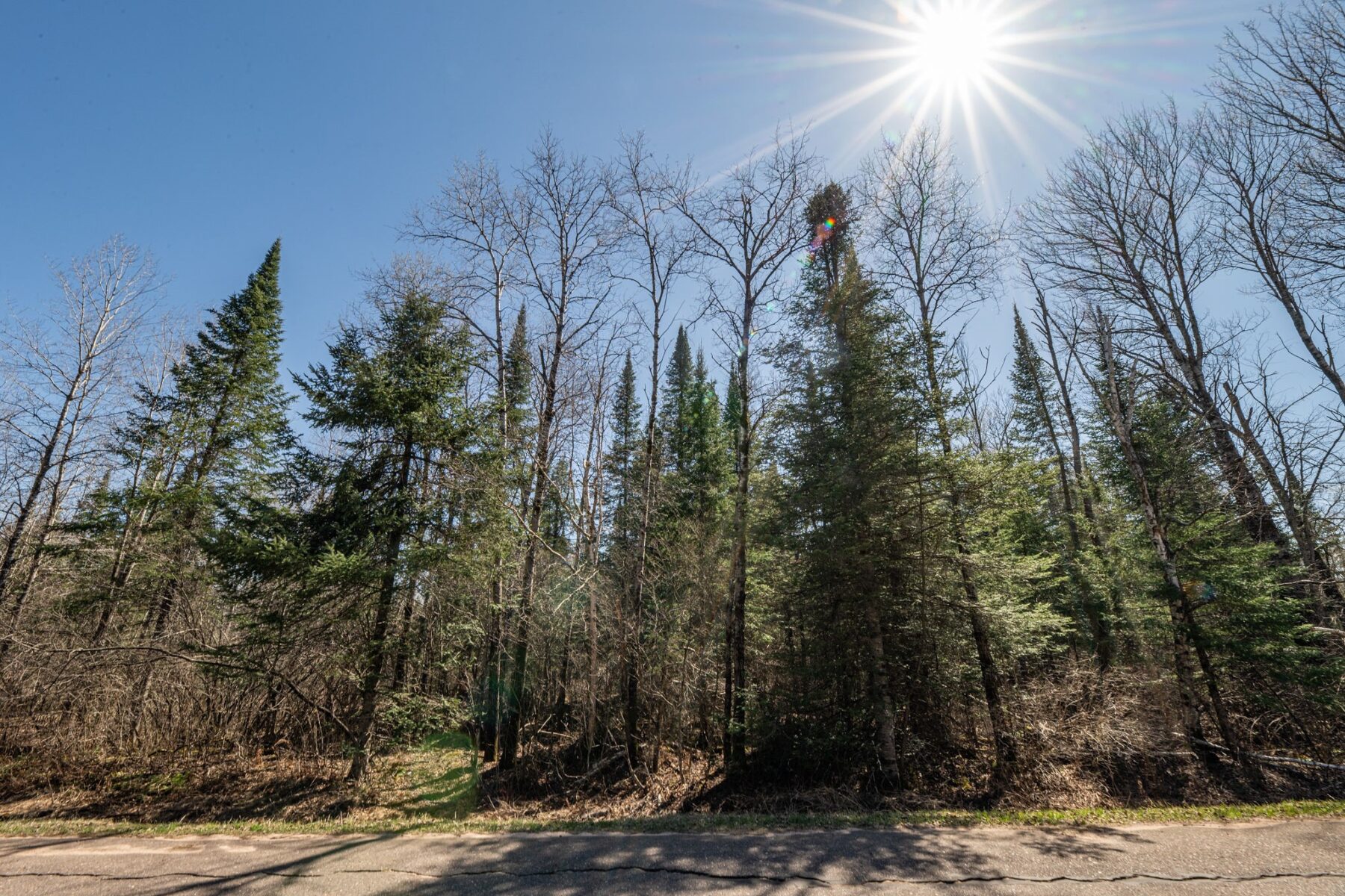 0 Clover Rd S, Winter, WI — photo 6