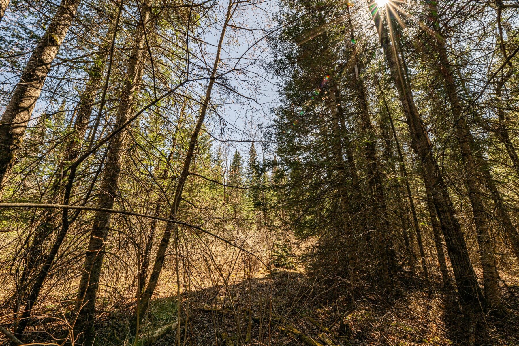 0 Clover Rd S, Winter, WI — photo 7