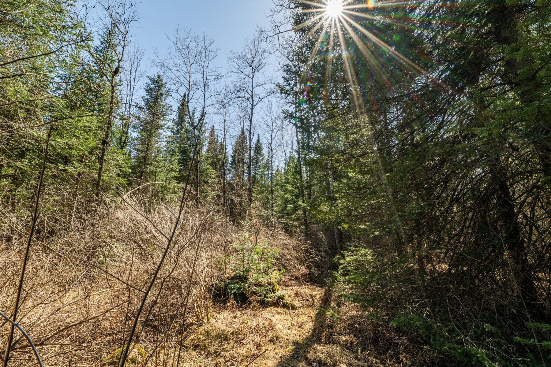 0 Clover Rd S, Winter, WI — photo 8