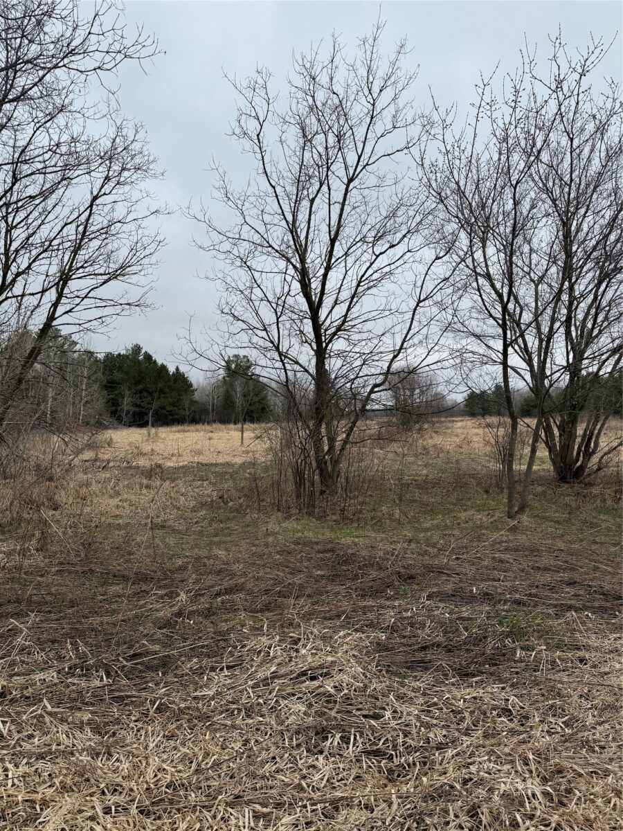 0 County Road EE, Elk Mound, WI — photo 10