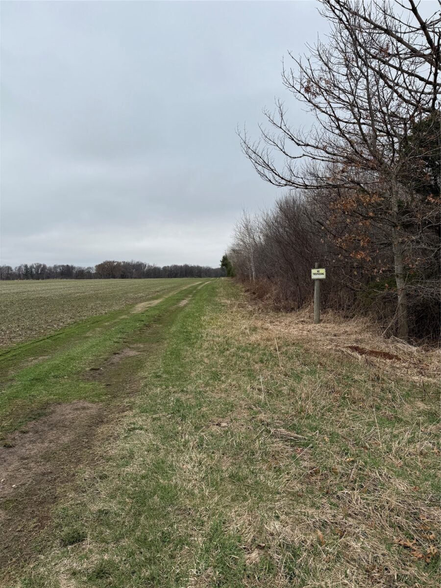 0 County Road EE, Elk Mound, WI — photo 11