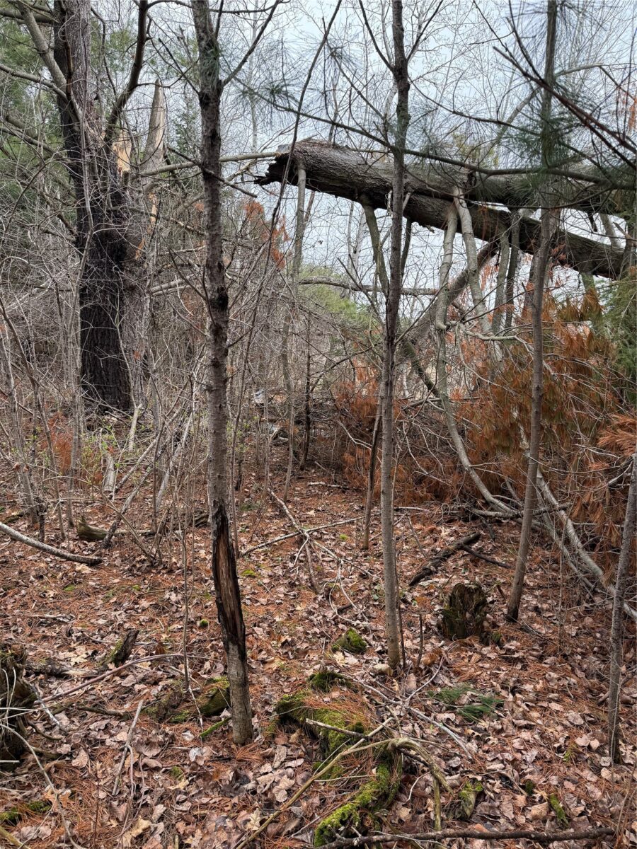 0 County Road EE, Elk Mound, WI — photo 12