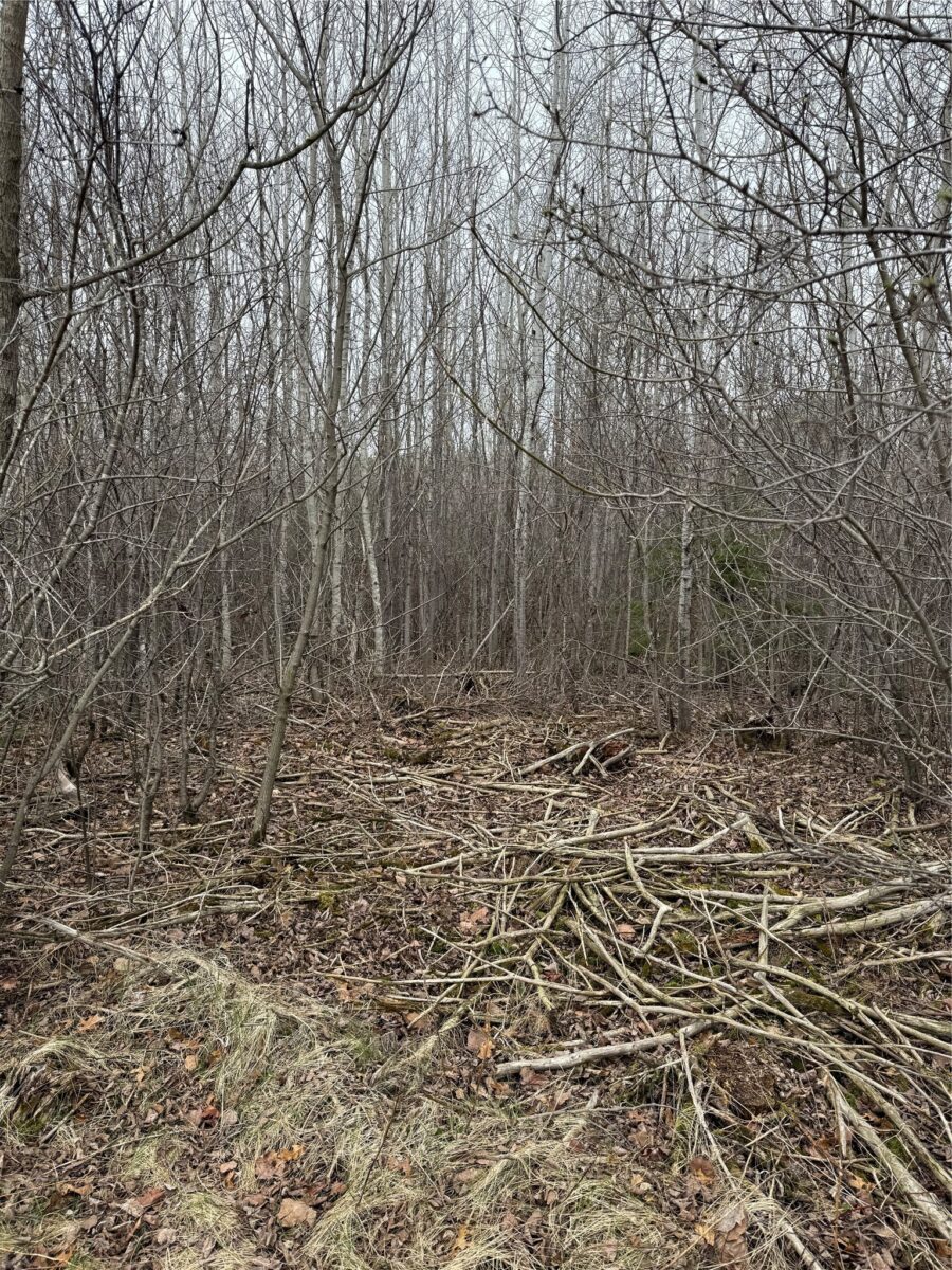 0 County Road EE, Elk Mound, WI — photo 13