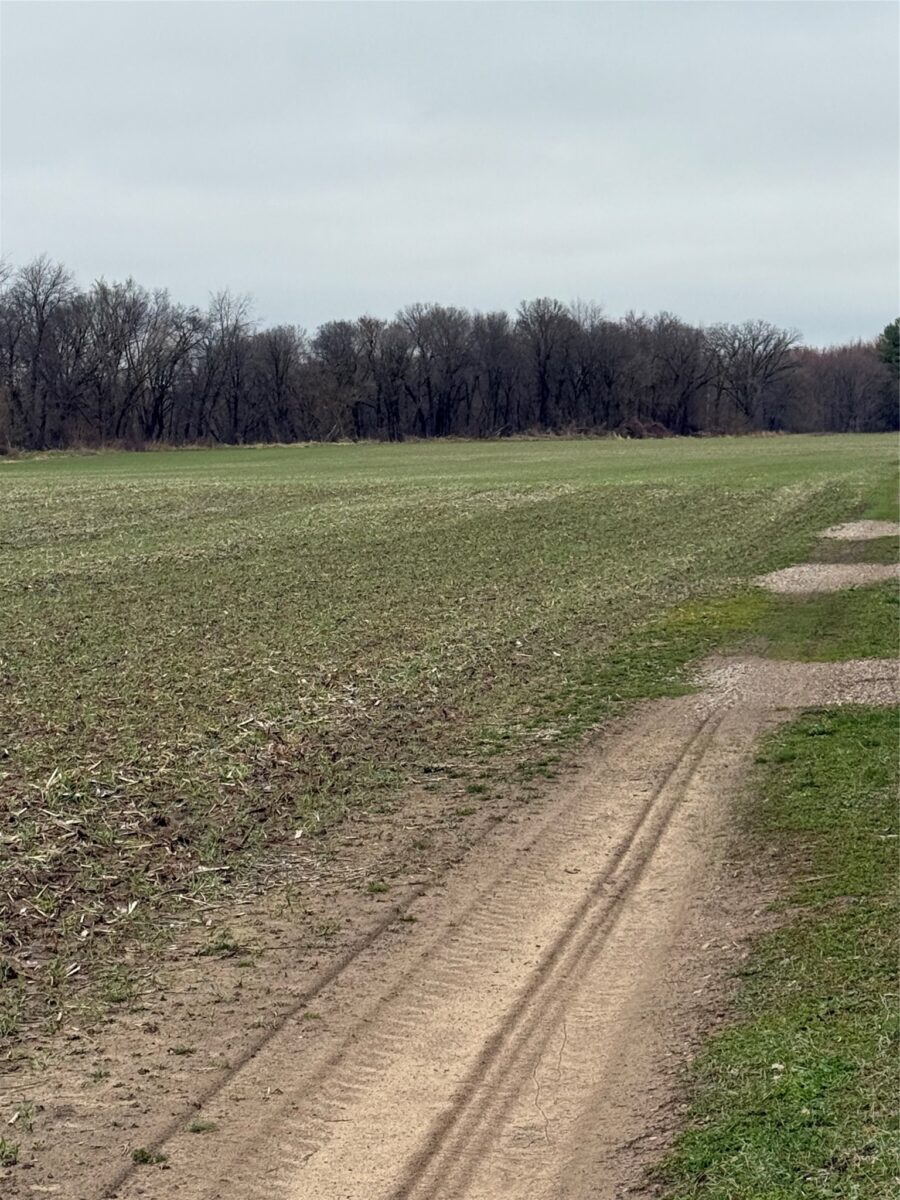 0 County Road EE, Elk Mound, WI — photo 14