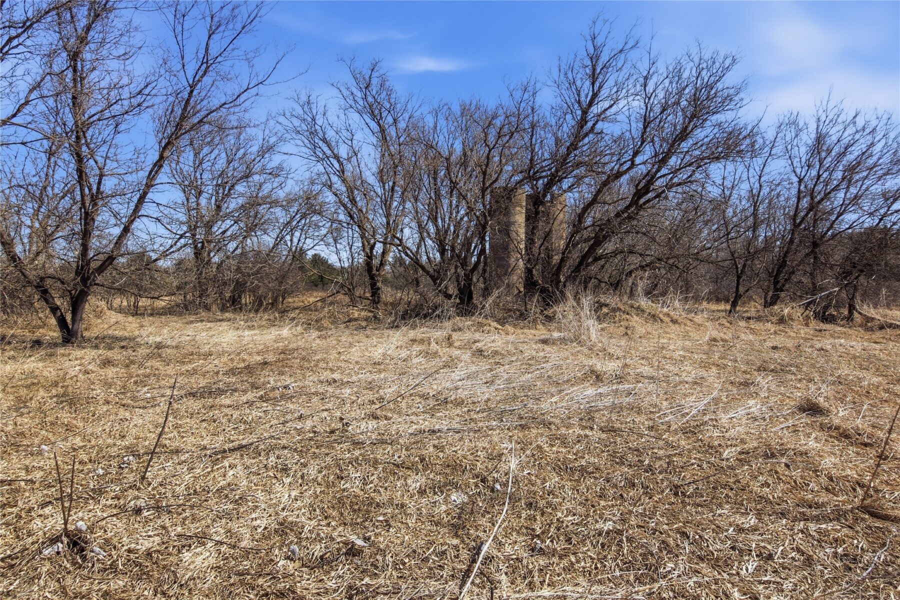 0 County Road EE, Elk Mound, WI — photo 18