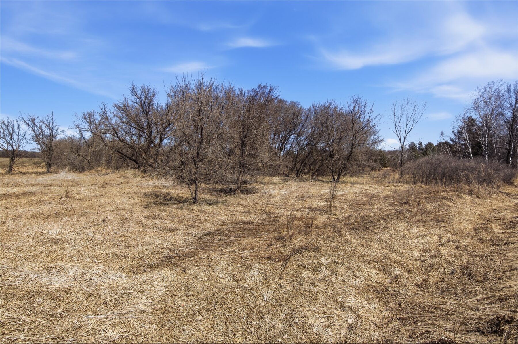 0 County Road EE, Elk Mound, WI — photo 19