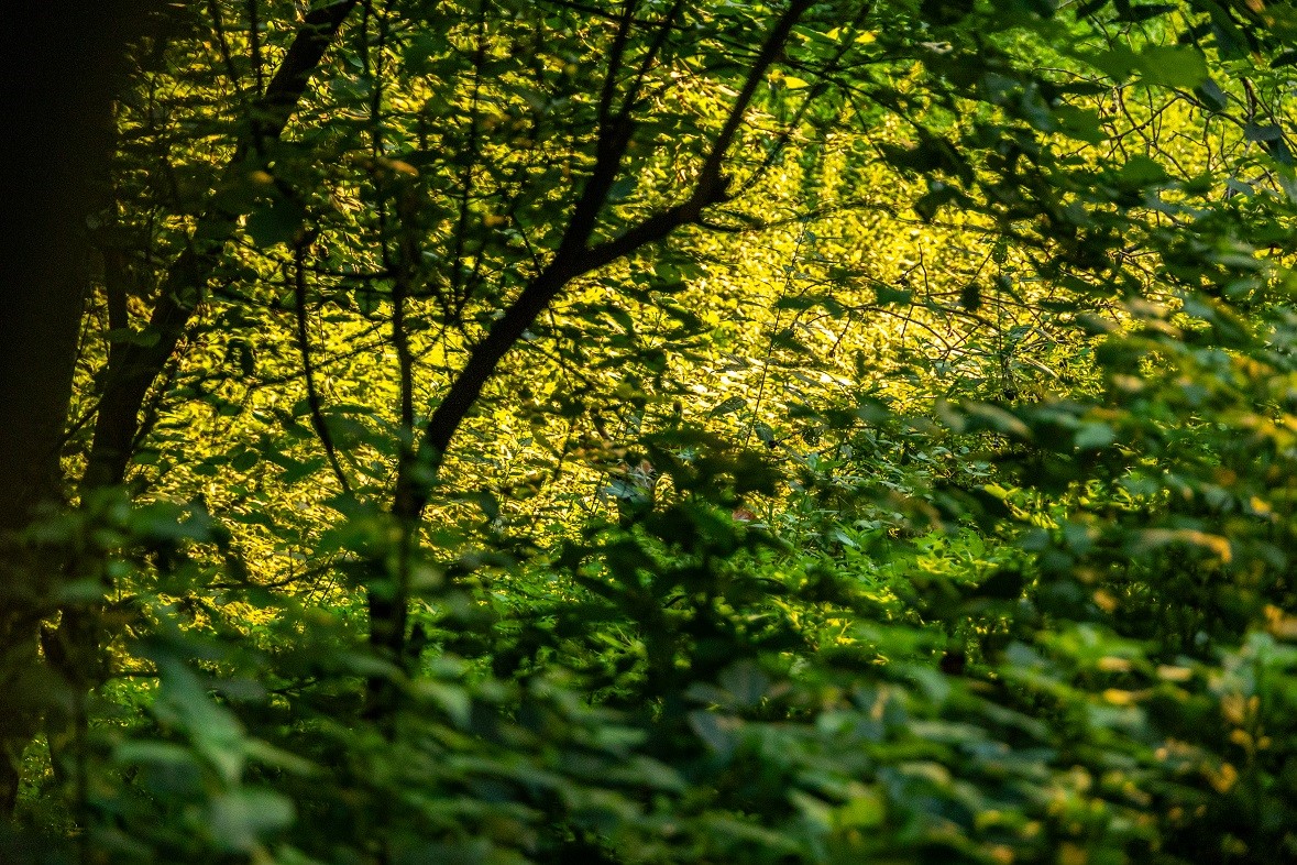 0 County Road S, Blair, WI — photo 11