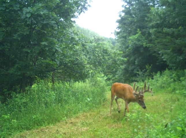 0 County Road S, Blair, WI — photo 12
