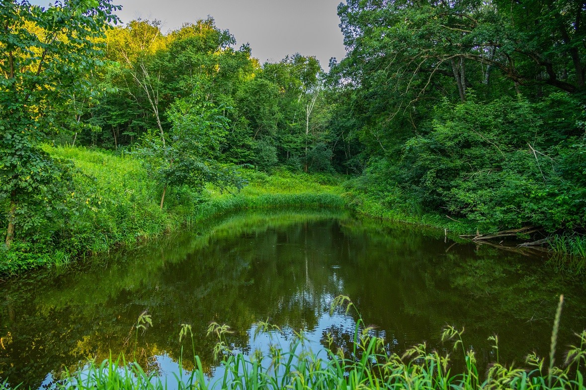 0 County Road S, Blair, WI — photo 13