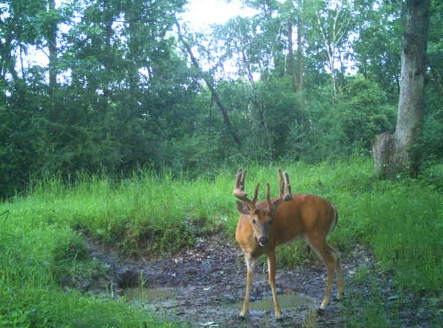 0 County Road S, Blair, WI — photo 14