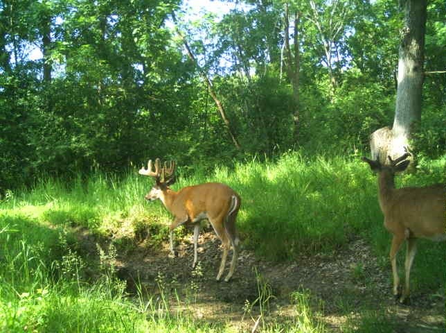 0 County Road S, Blair, WI — photo 16