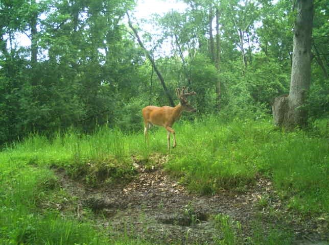 0 County Road S, Blair, WI — photo 18