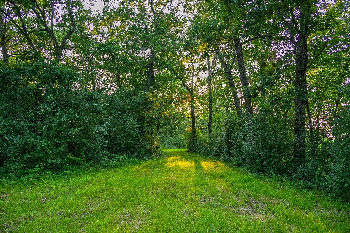 0 County Road S, Blair, WI — photo 19
