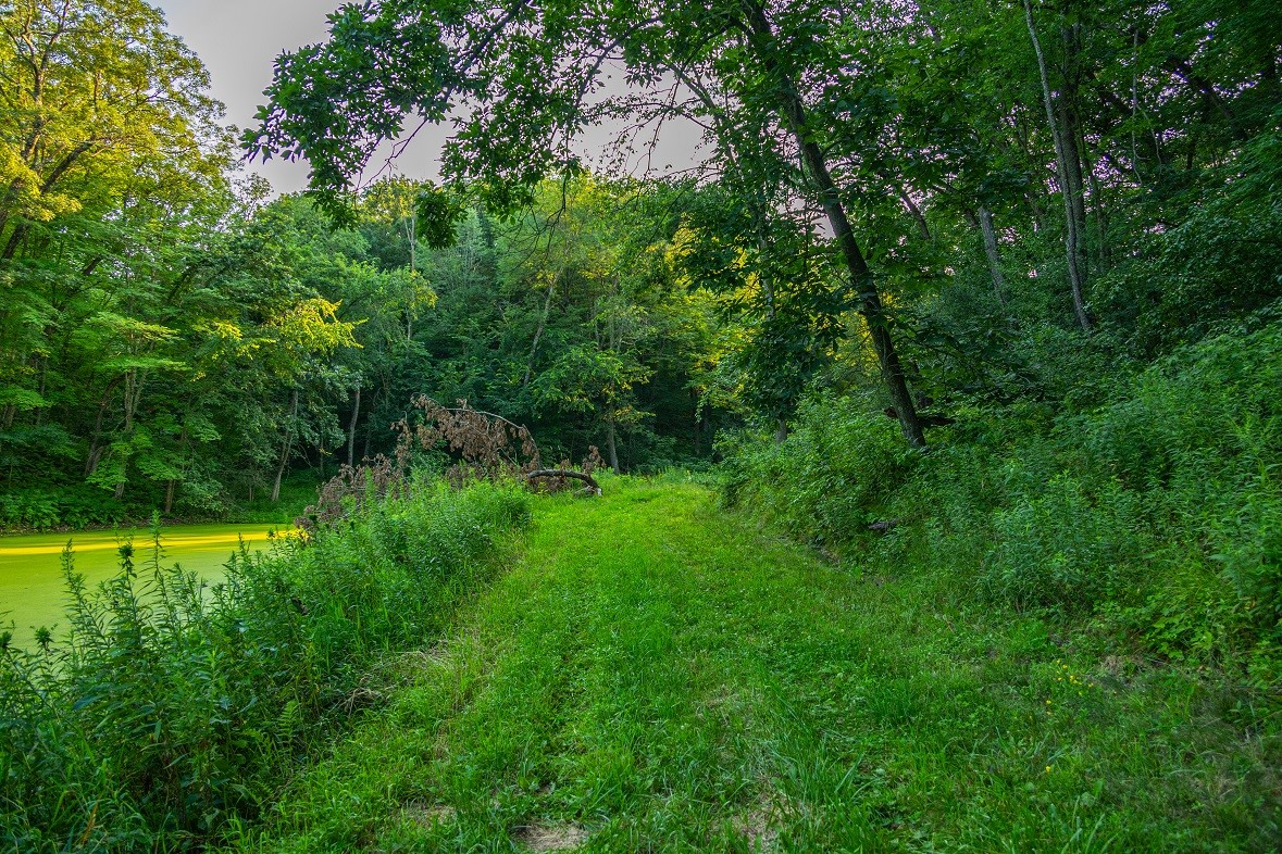 0 County Road S, Blair, WI — photo 2