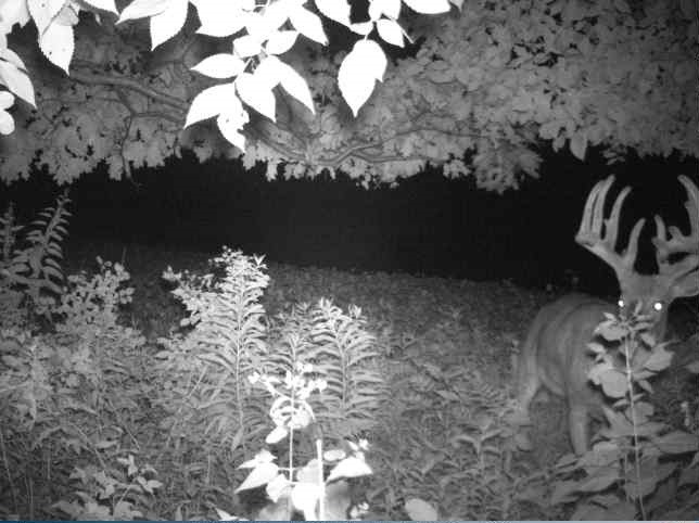 0 County Road S, Blair, WI — photo 20