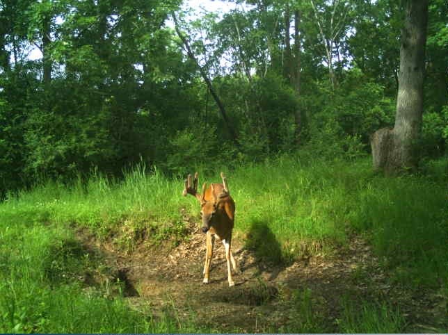 0 County Road S, Blair, WI — photo 22