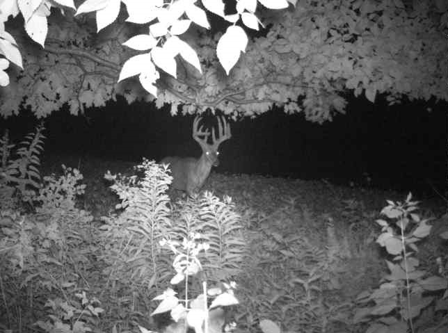 0 County Road S, Blair, WI — photo 24