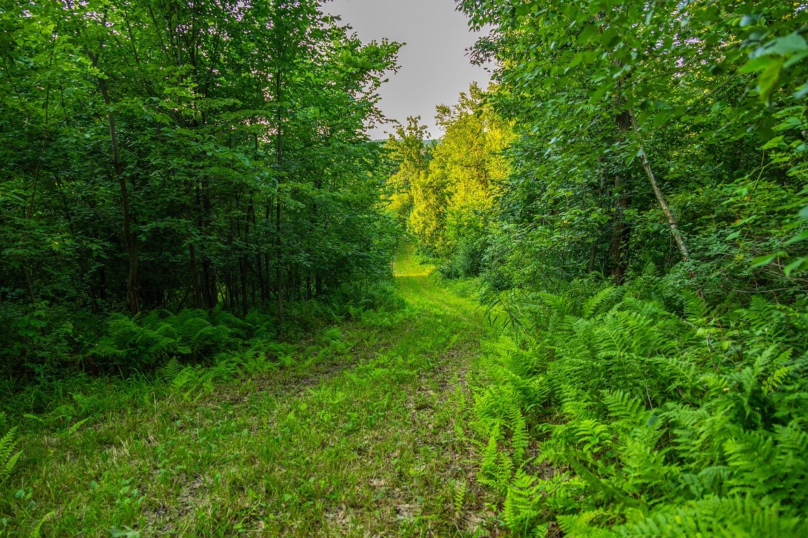 0 County Road S, Blair, WI — photo 25