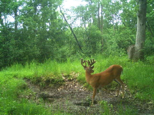 0 County Road S, Blair, WI — photo 26