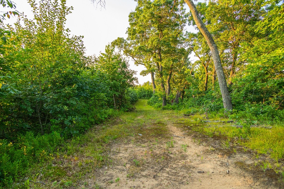 0 County Road S, Blair, WI — photo 27