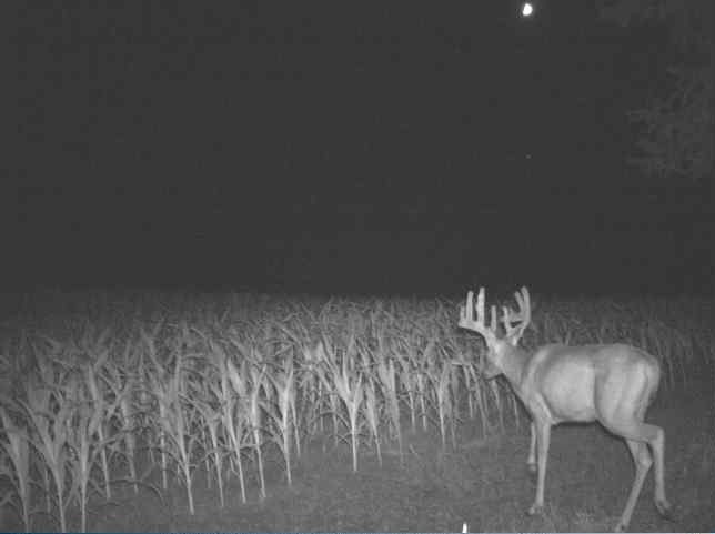 0 County Road S, Blair, WI — photo 28