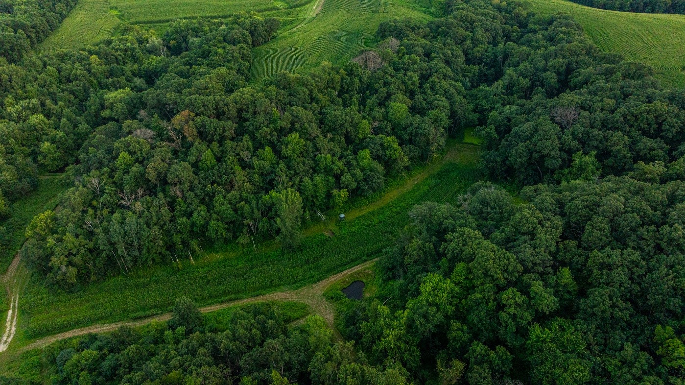 0 County Road S, Blair, WI — photo 29
