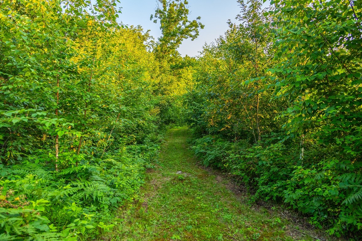 0 County Road S, Blair, WI — photo 30