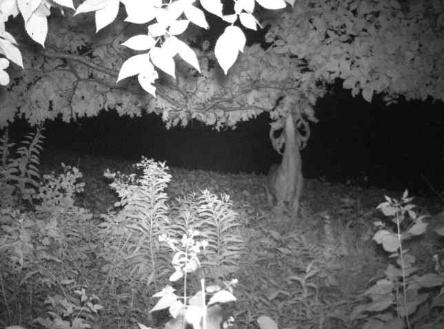 0 County Road S, Blair, WI — photo 31