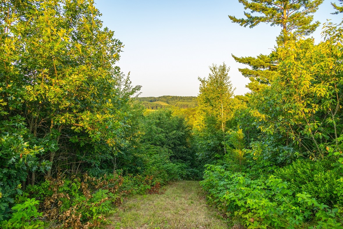 0 County Road S, Blair, WI — photo 32