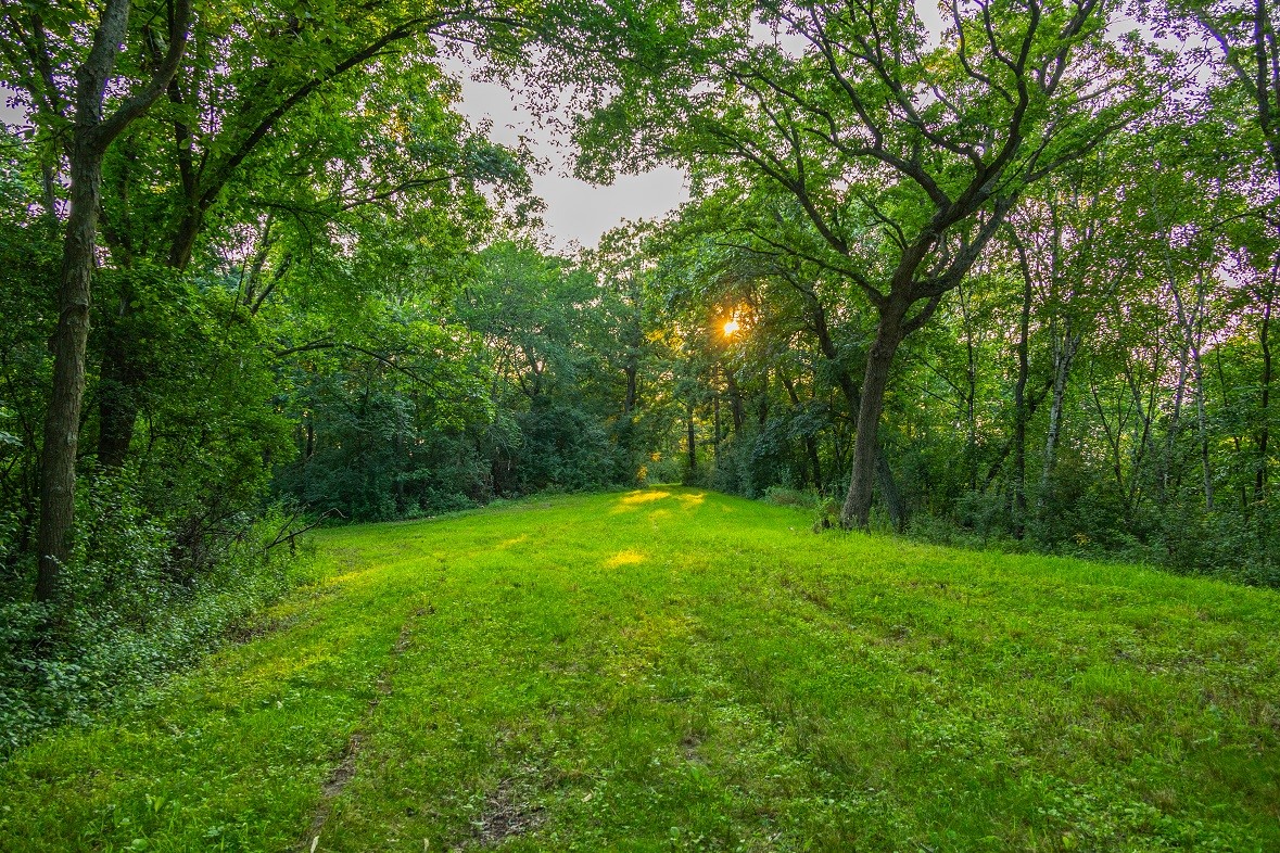 0 County Road S, Blair, WI — photo 34