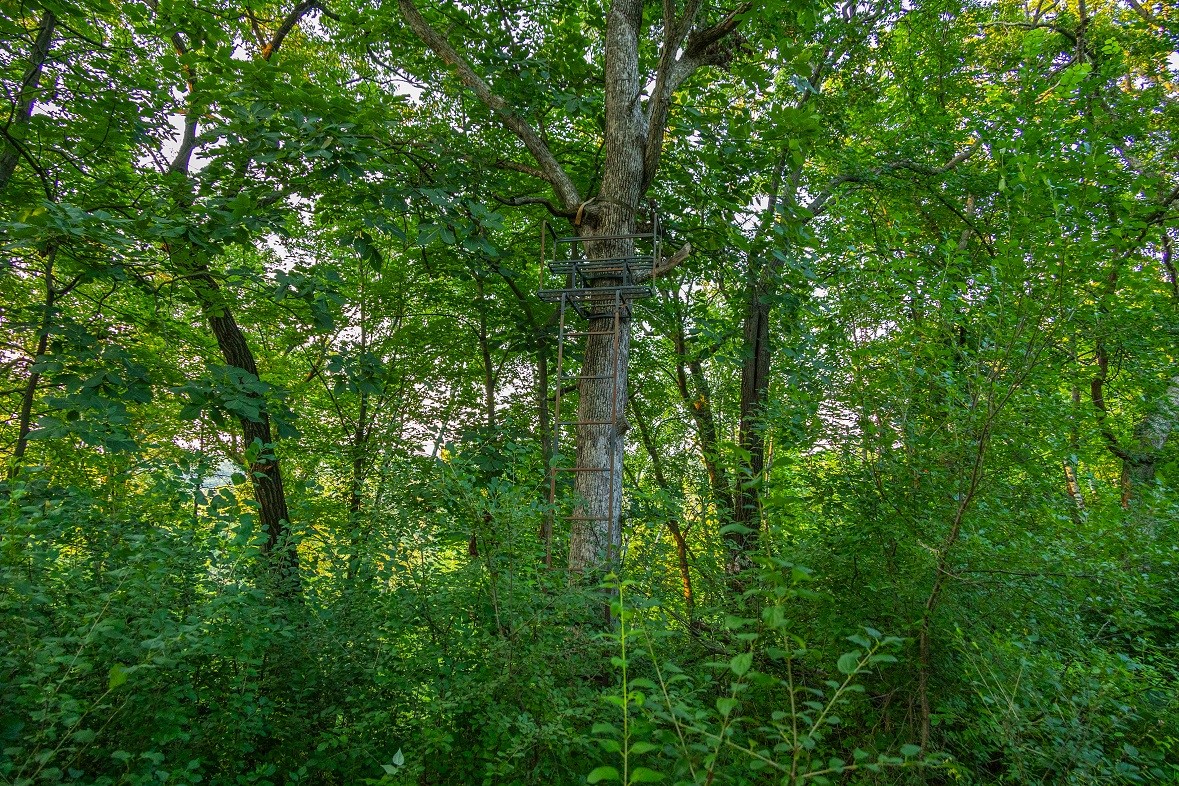 0 County Road S, Blair, WI — photo 35