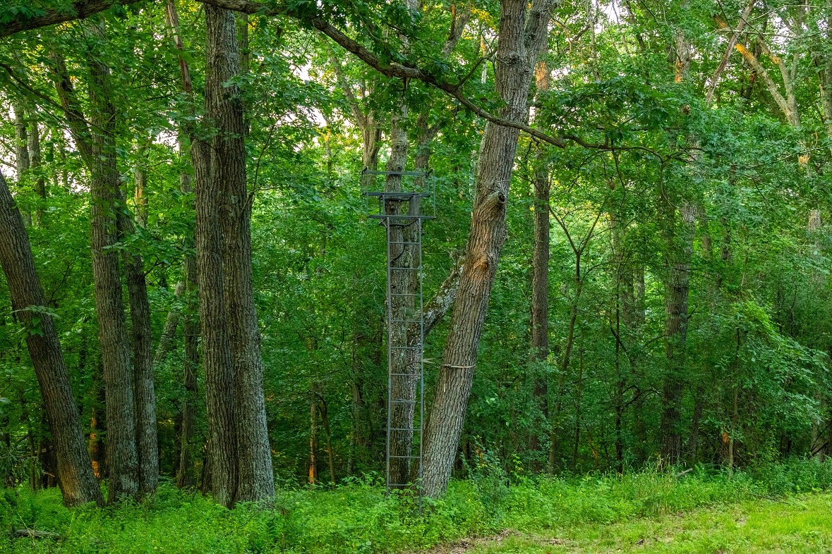 0 County Road S, Blair, WI — photo 38