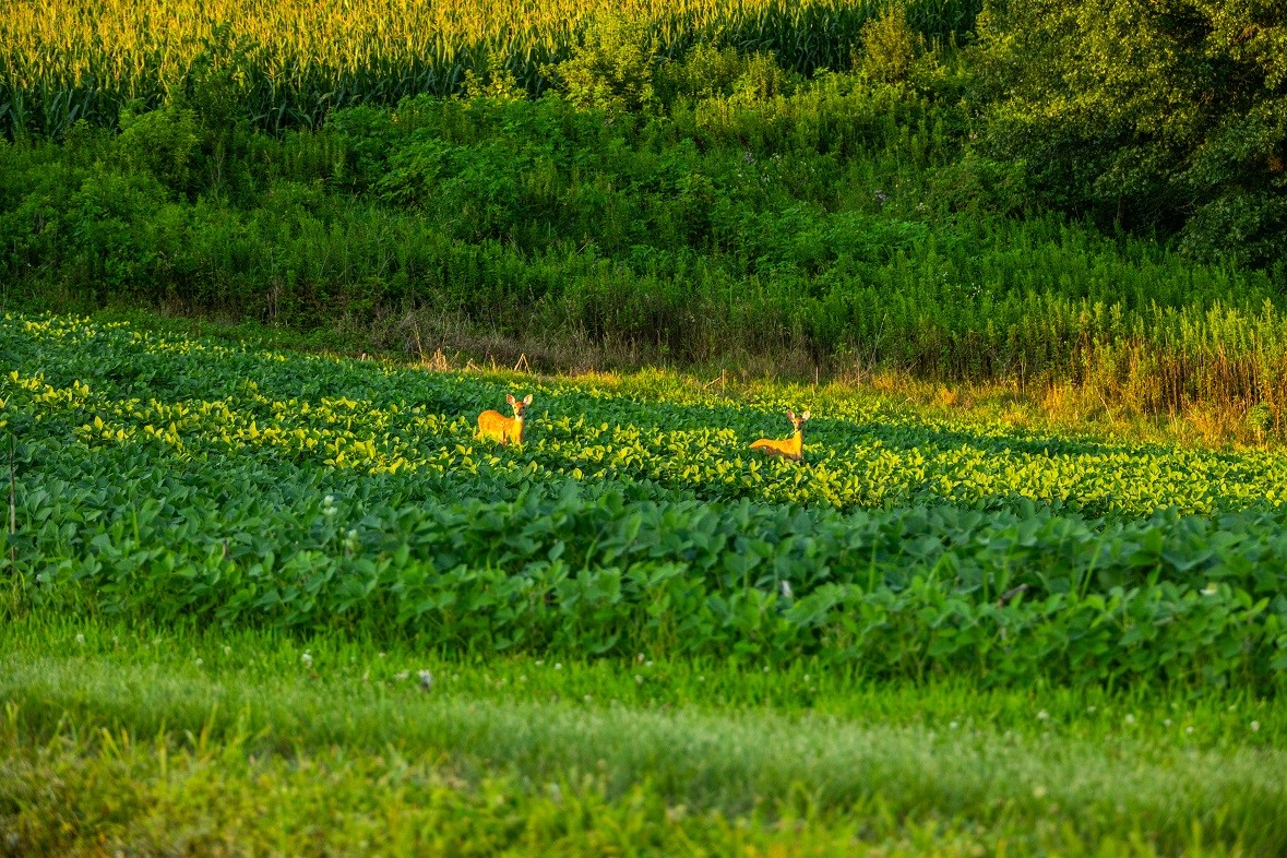 0 County Road S, Blair, WI — photo 4