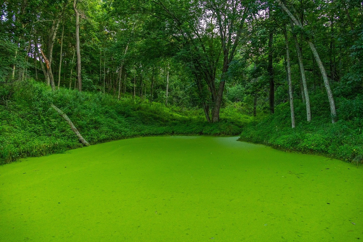 0 County Road S, Blair, WI — photo 40