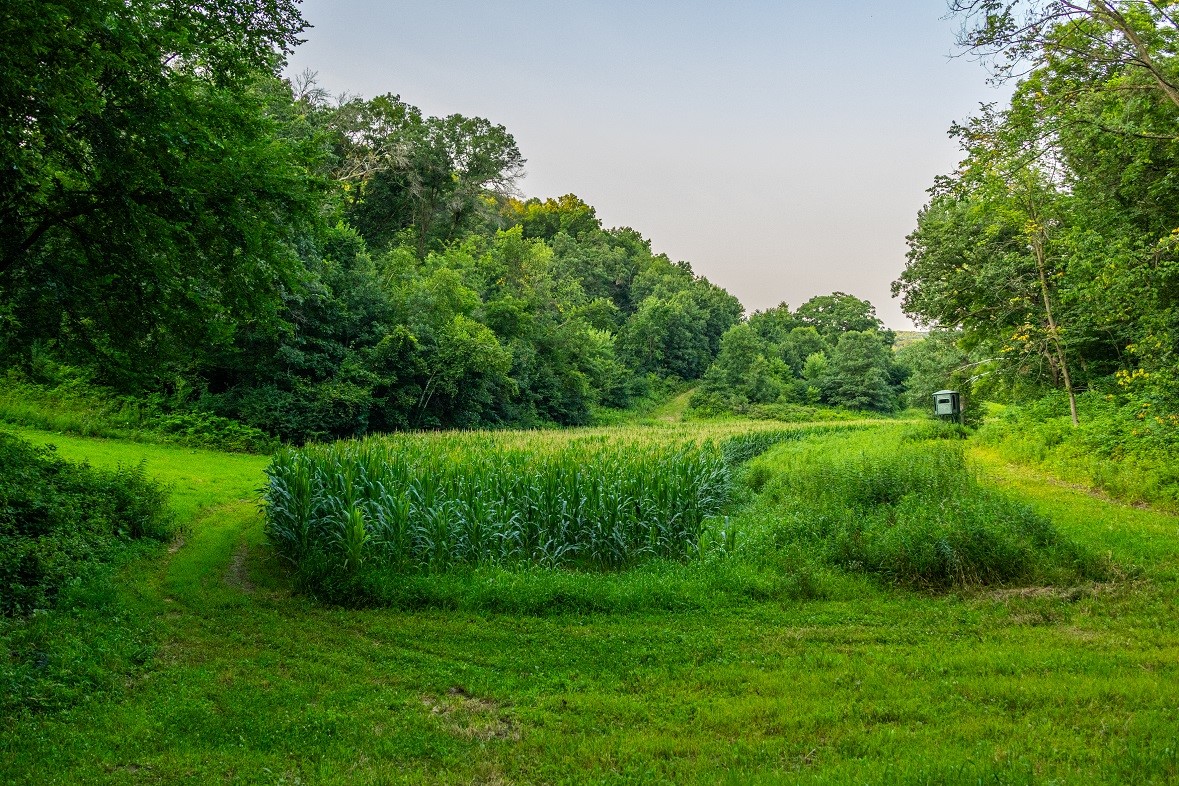 0 County Road S, Blair, WI — photo 41