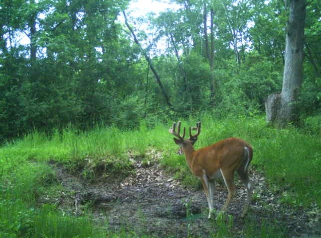 0 County Road S, Blair, WI — photo 6