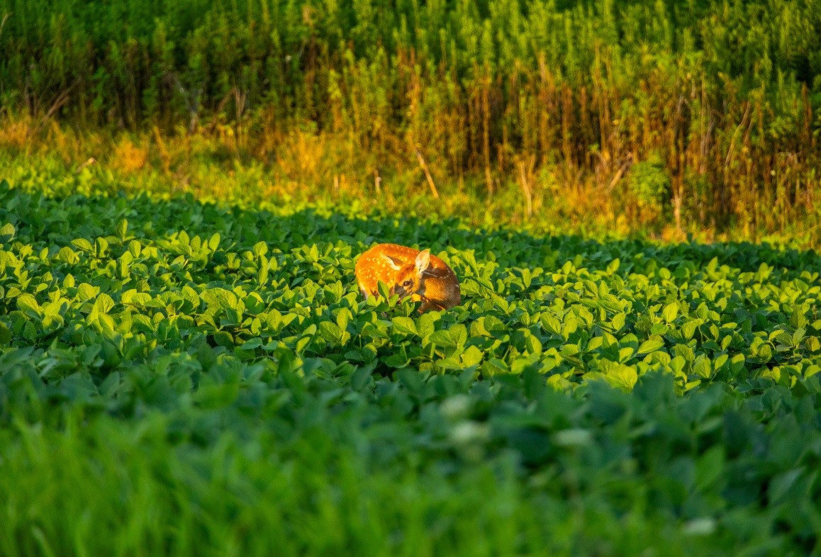 0 County Road S, Blair, WI — photo 7