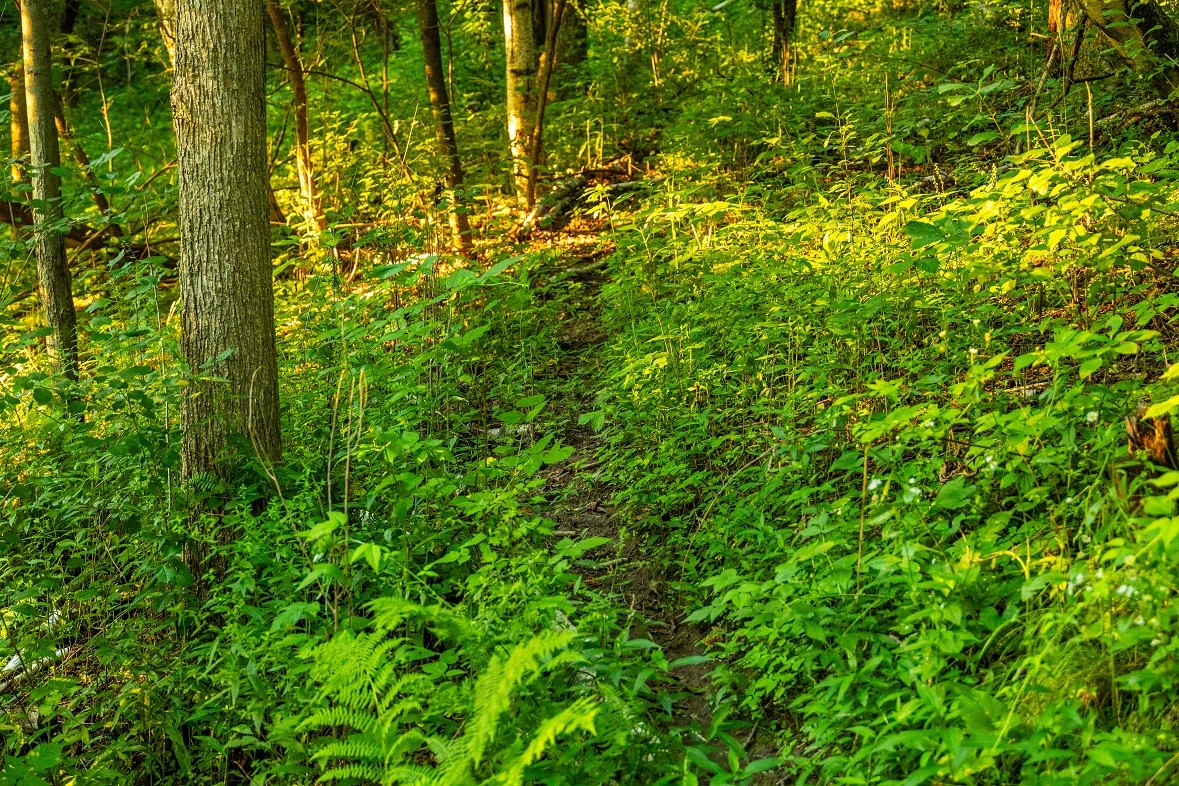 0 County Road S, Blair, WI — photo 8