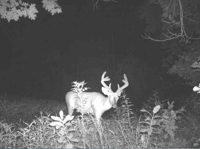 0 County Road S, Blair, WI — photo 9