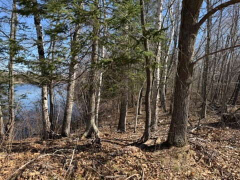 Land at 0 Highway 35, Danbury, WI 54830 — photo 10